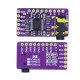 Smart Speaker Audio System DAC Board with PCM5102 Decoder